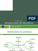 BQ 2021 Clase 15 - Metabolismo de Proteínas