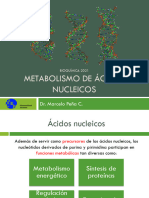 BQ 2021 Clase 16 - Metabolismo de Ácidos Nucleicos