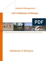 Wetlands of Ethiopia