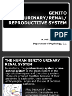 Genito Urinary