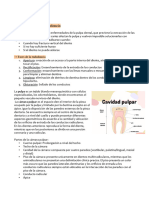 Clase 27-3 Conductos Premolares y Molares