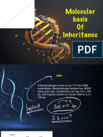 Molecular Basis of Inheritance -1