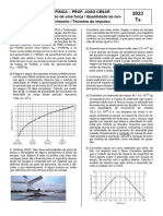 Joao Cesar Fisica Impulso 2023