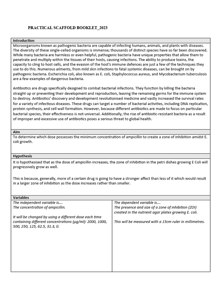 Microbiology practical report | PDF | Bacteria | Infection