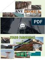 FEGEO-Business-Company- Profile 1st Edition Coulorful