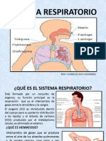 Sistema Respiratorio