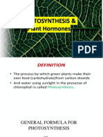 Photosynthesis and Hormones-1