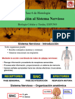 Clase6-Introduccion-al-Sistema_Nervioso