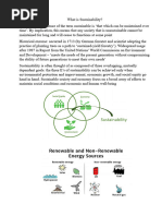 Essay Sustainability