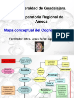Mapa Del Cognoscitivismo2628