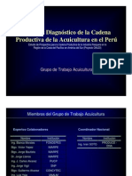 Análisis Diagnóstico de La Cadena Productiva de La Acuicultura en El Perú