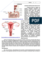 ATIVIDADE DE CIÊNCIAS - SISTEMA REPRODUTOR