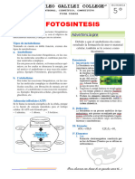 5° SECUNDARIA - FOTOSÍNTESIS- FICHA DIARIA