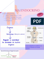 Sistema Endocrino - Histologia Ii