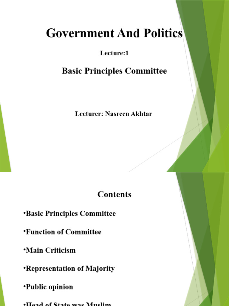 Basic Principles Committee Overview | PDF | Government | Governance