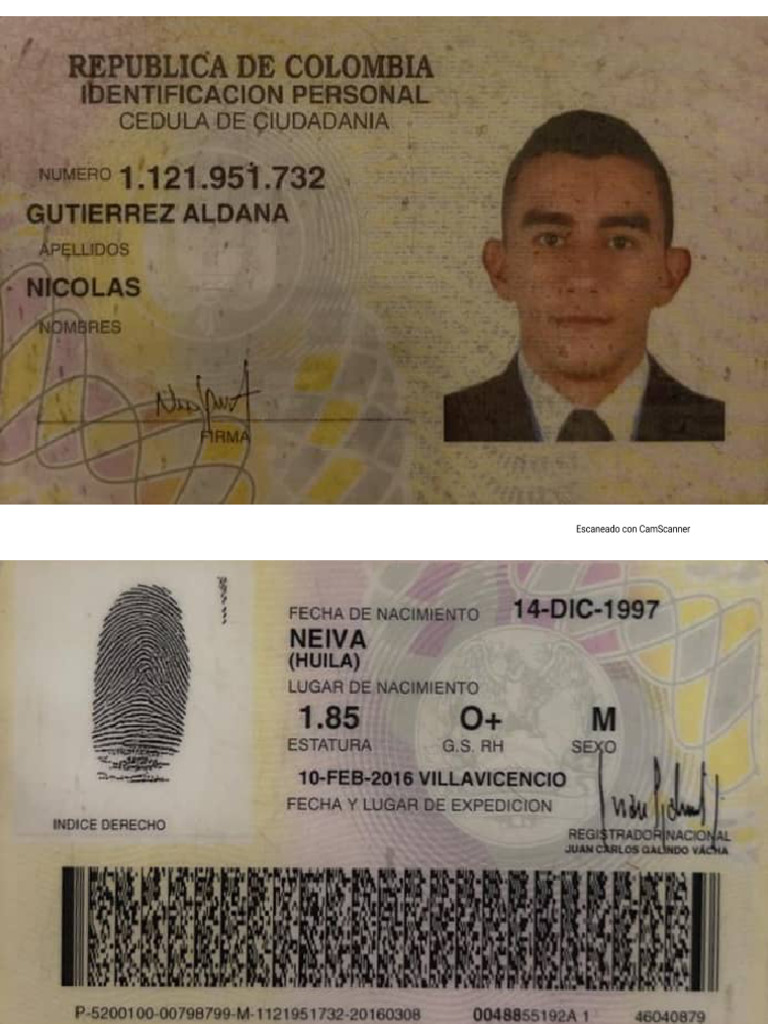 Nicolas gutierrez pdf