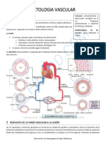 1 PATOLOGIA VASCULAR