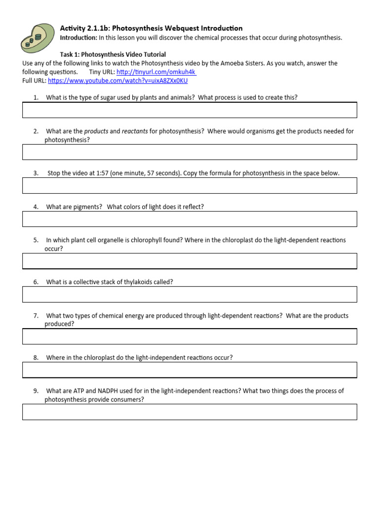 Activity 2 1 2b Photosynthesis Webquest Intro Pdf Photosynthesis