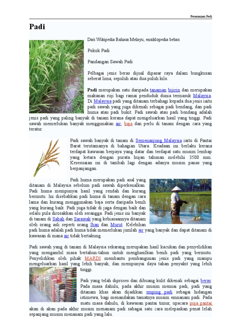 Tanam Padi Pdf