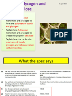 3.3 Carbohydrates Polysaccharides