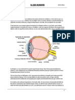 El Ojo Humano - Características y Defectos de La Visión