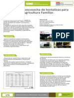 Sistema de poscosecha de hortalizas para la agricultura familiar