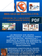 Brigadas de Defensa Civil 2