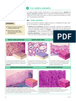 Tejidos y Organos