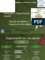 Estudio de Tejidos y Organos en Los Vegetales Parcial 2