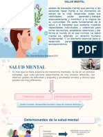 Generalidades Salud Mental