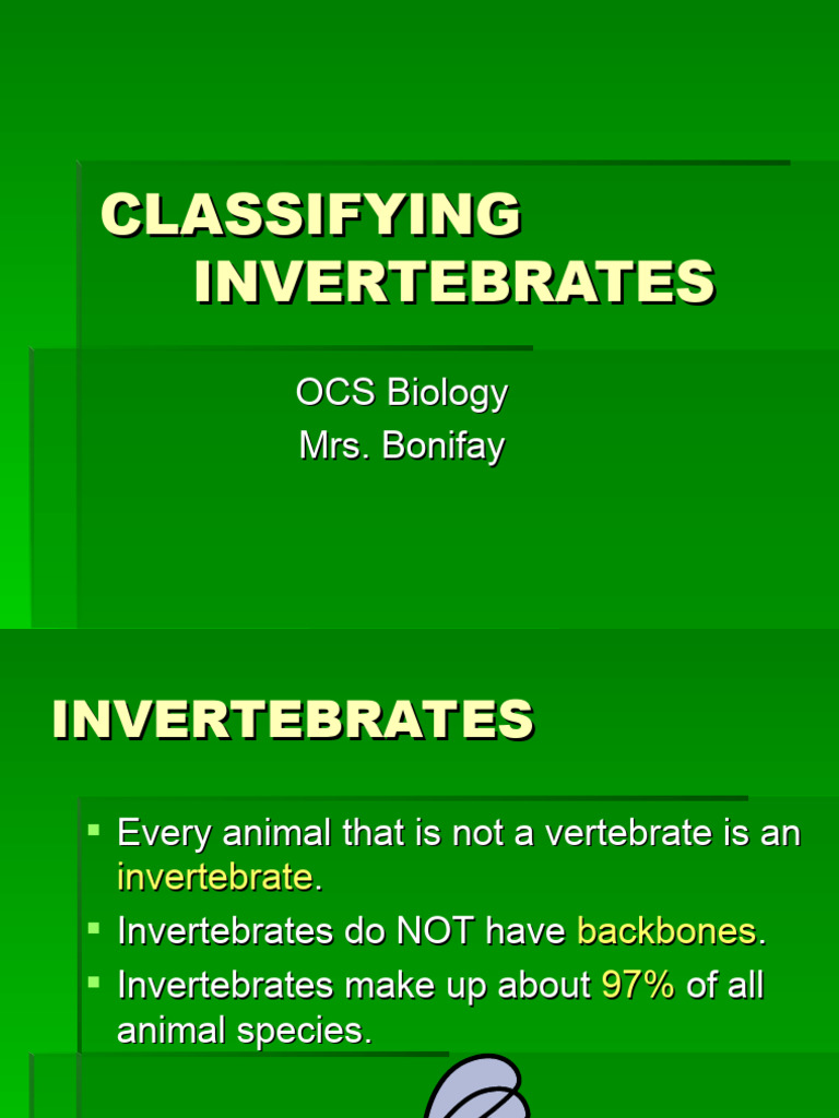 INVERTEBRATES DEFINITION CHARACTERISTICS FACTS CLASSIFICATION intelligence overview
