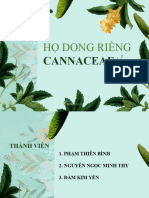 Họ Dong Riềng: Cannaceae