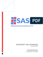 Manual Introductorio MS-SSIS