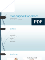 Esophageal Conditions