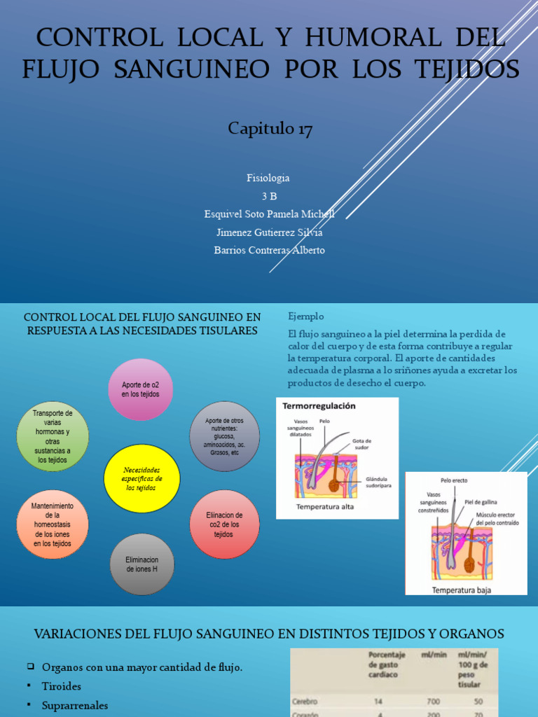 Control Local y Humoral Del Flujo Sanguineo | PDF | Endotelio ...