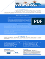 Curso Cuidando Al Cuidador PDF