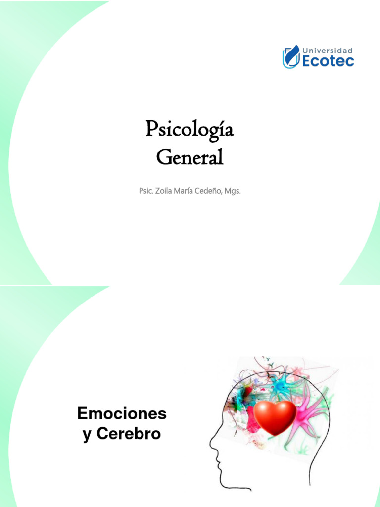 Emociones y su relación con el cerebro | PDF | Las emociones | Cerebro
