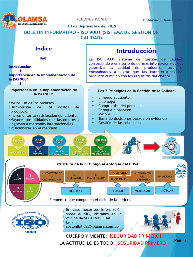 Guía sobre ISO 9001 y Gestión de Calidad | PDF | Calidad (comercial ...