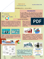 Boletín - CICLO DE PHVA