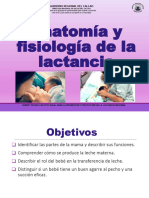 3 Anatomía y Fisiología de La LM 23.07.19