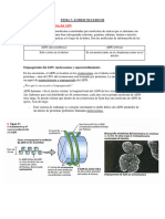 Apuntes Oficiales Tema 7 PDF