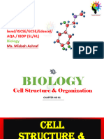 (Chapter 2) Cell Structure and Organisation