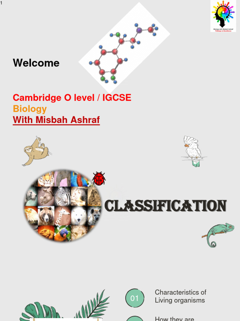 Chapter 1 Classification of Organisms PDF Cell Biology Eukaryotes