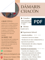 Curriculum Vitae CV Trabajo 20240221 152205 0000