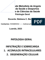 2 - 8 - Aula 8 - Acumulos Intracelulares e Degeneracao Celular