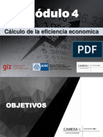 M4 PPT - Cálculo - Eficiencia.Económica