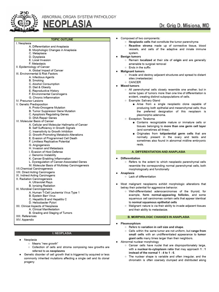 Pathology Lecture 16 Neoplasia Docx Pdf Cancer Oncogene