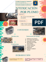 Seminario12 - Intoxicación Por Plomo