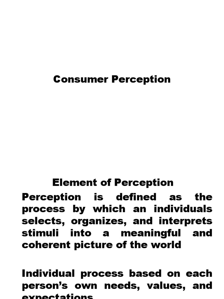 Understanding Consumer Perception Dynamics | PDF