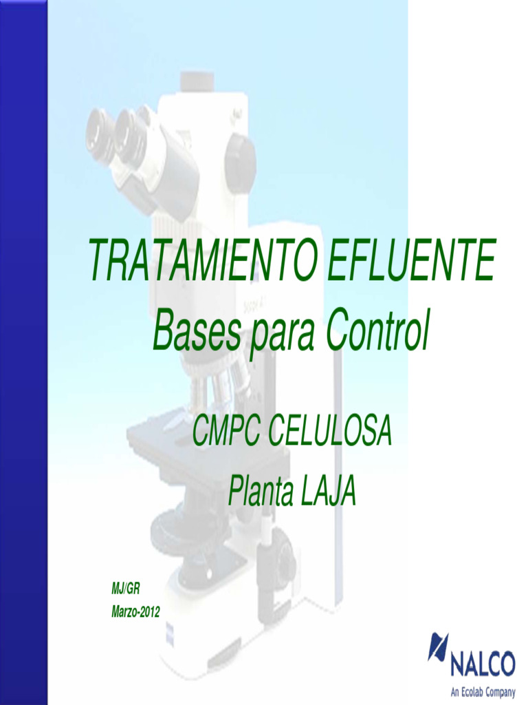 Control de Reactores MBBR | PDF | Las bacterias | Biología